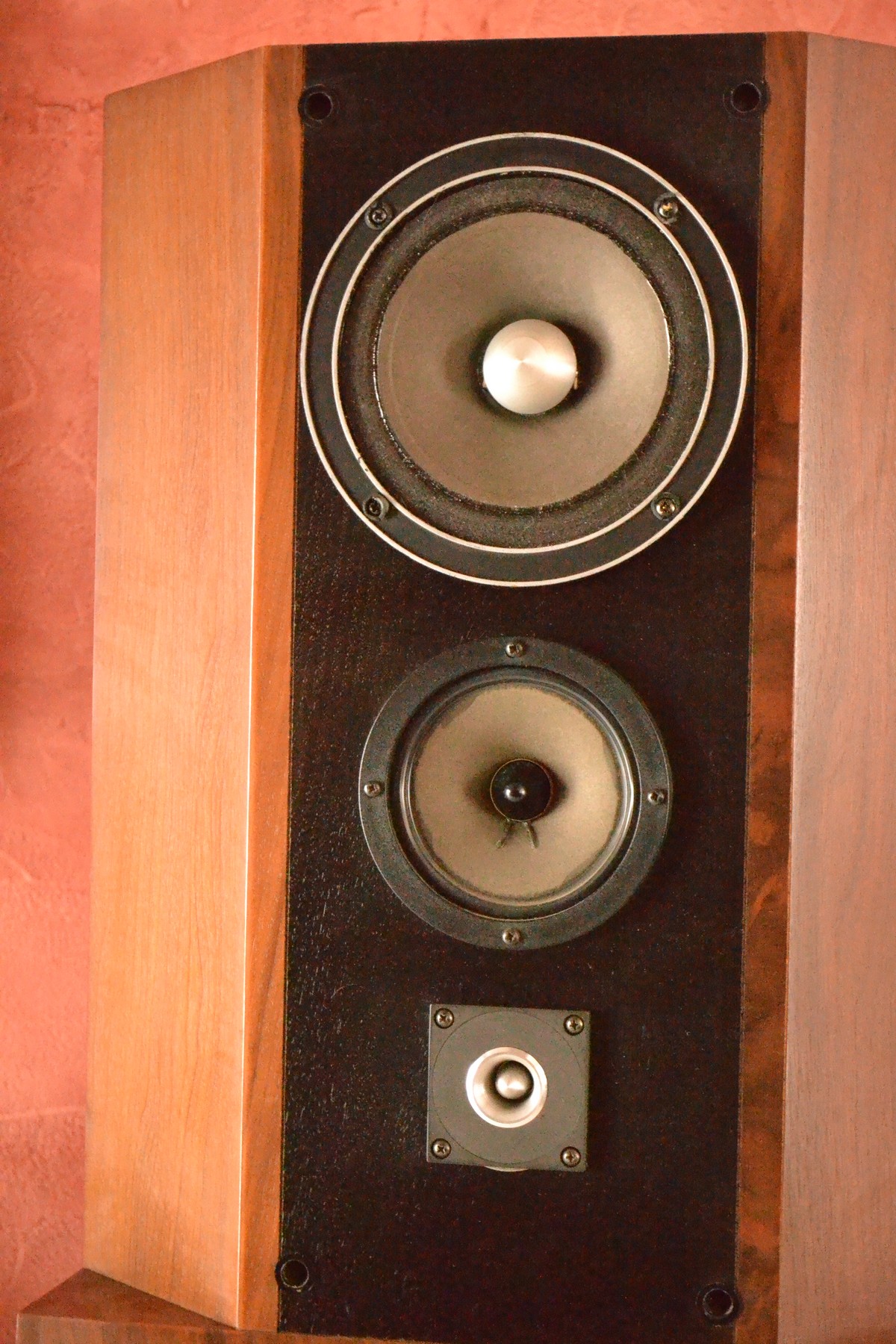 DSC_0445 - Copie.JPG