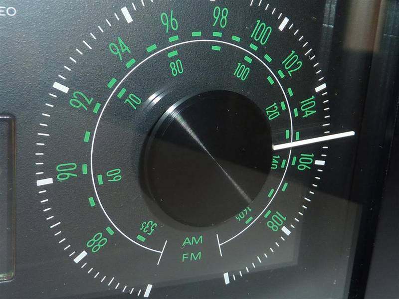 P1040039 (Large).JPG