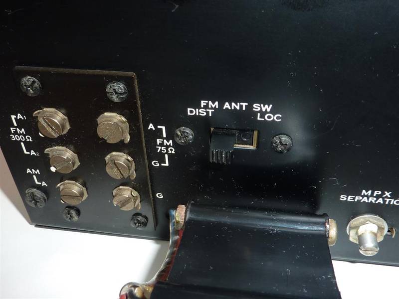 P1040033 (Large).JPG