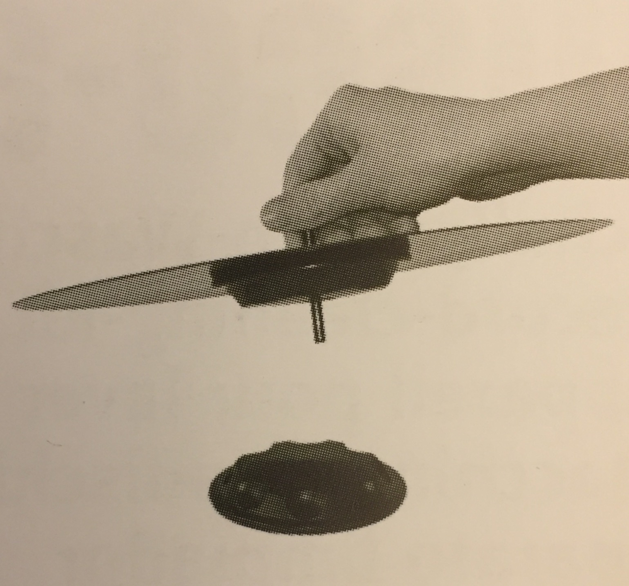 image1.JPG