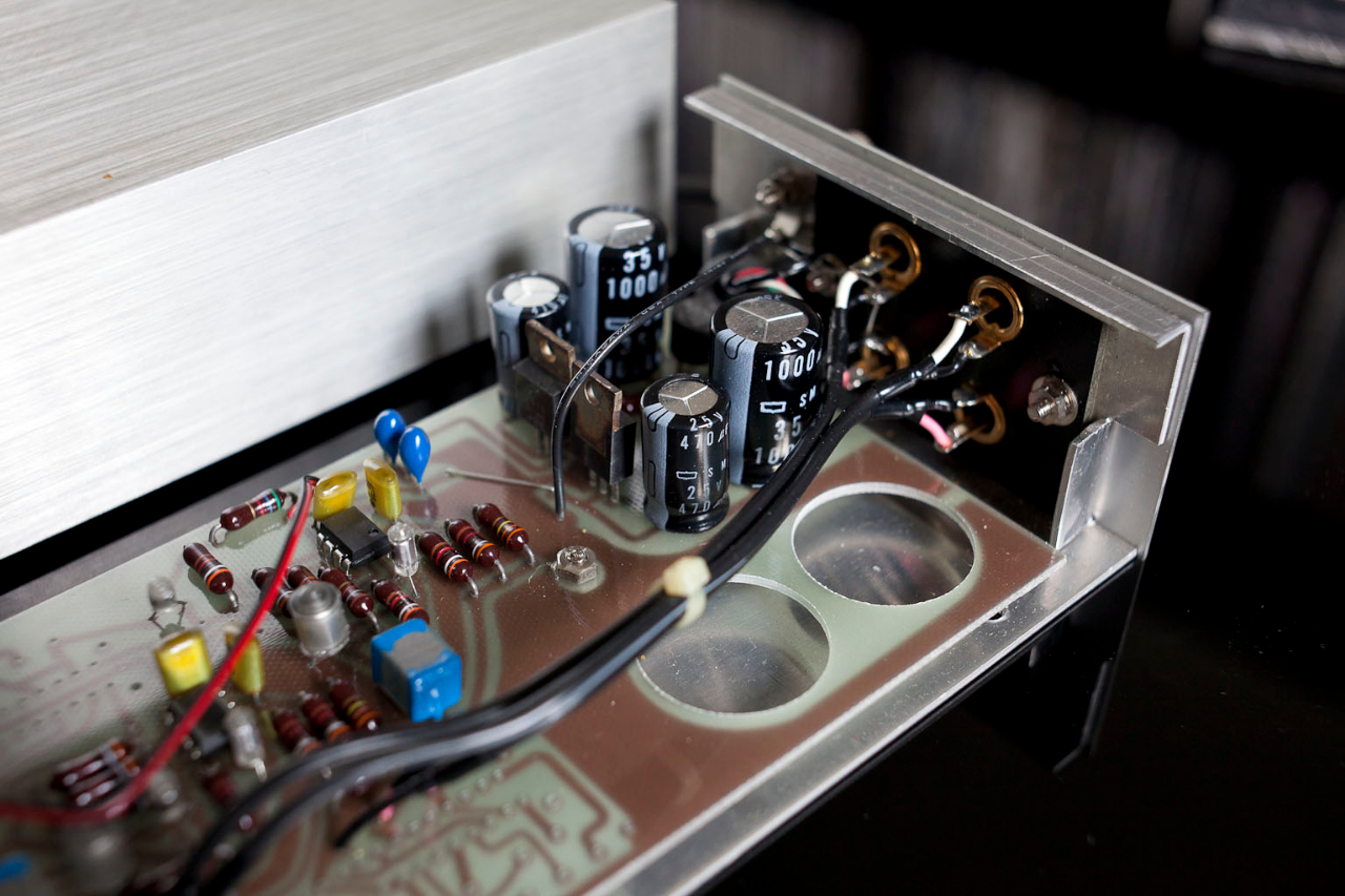 Dynavectore Phase Lifter DV PS1_008.jpg