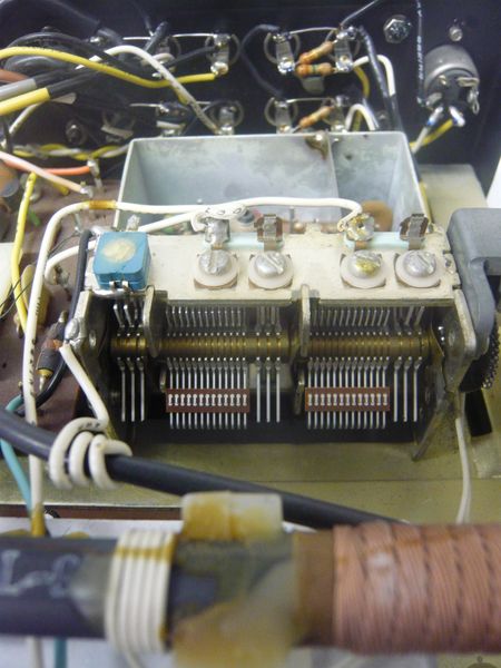 06.jpg