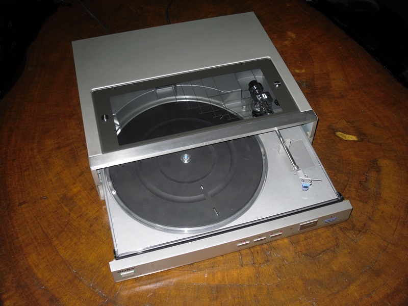 946585SDC11002.jpg