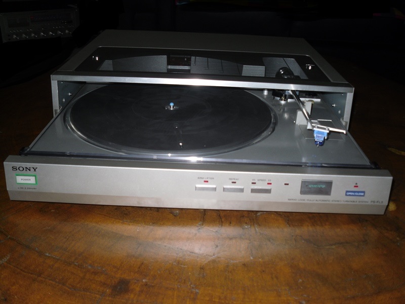 156936SDC11003.jpg
