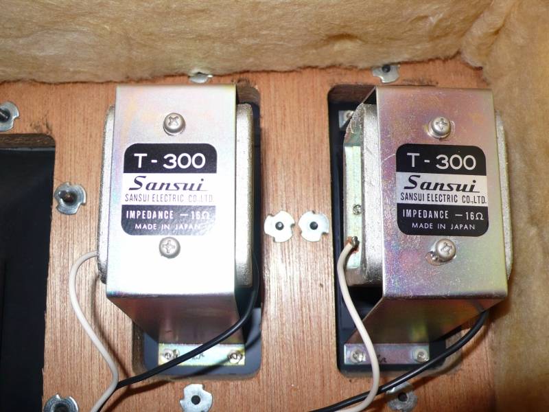 P1110132 [800x600fraide].JPG