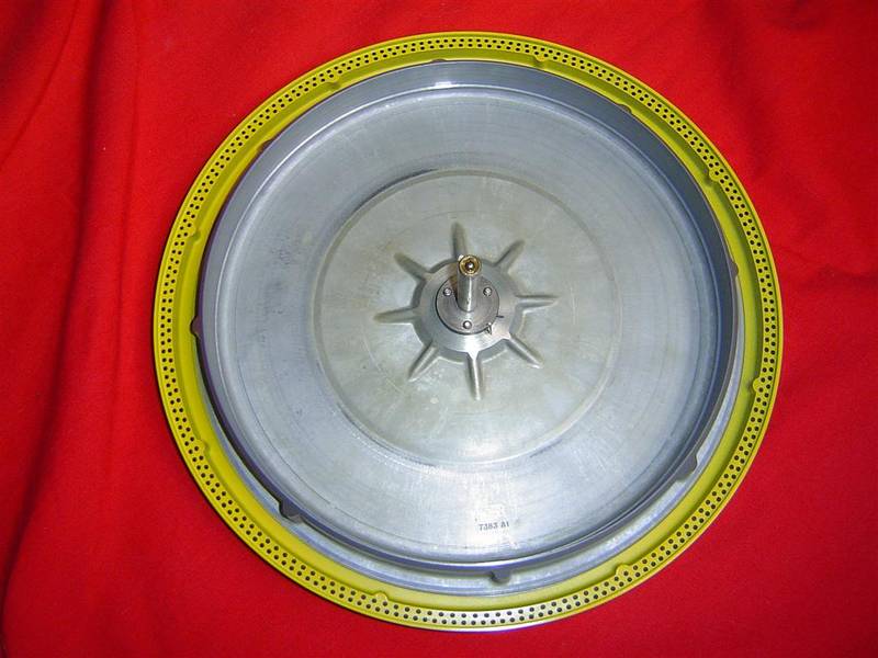 DSC01386 (Large).JPG