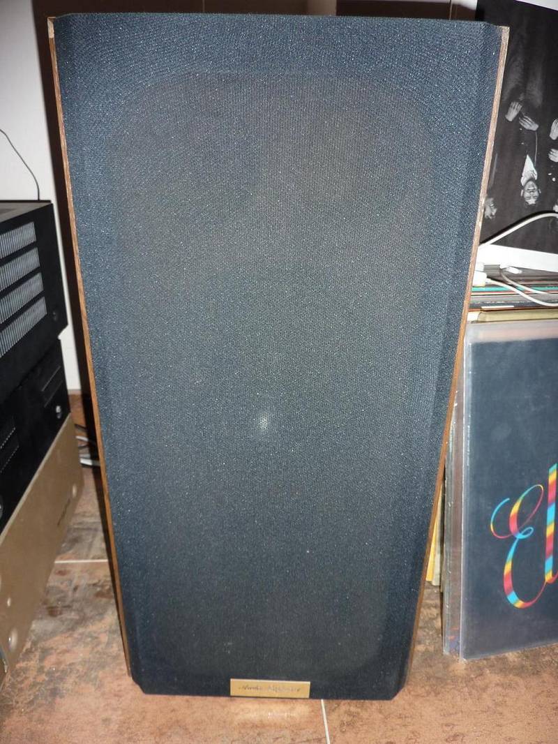 Enceinte avec chache.JPG