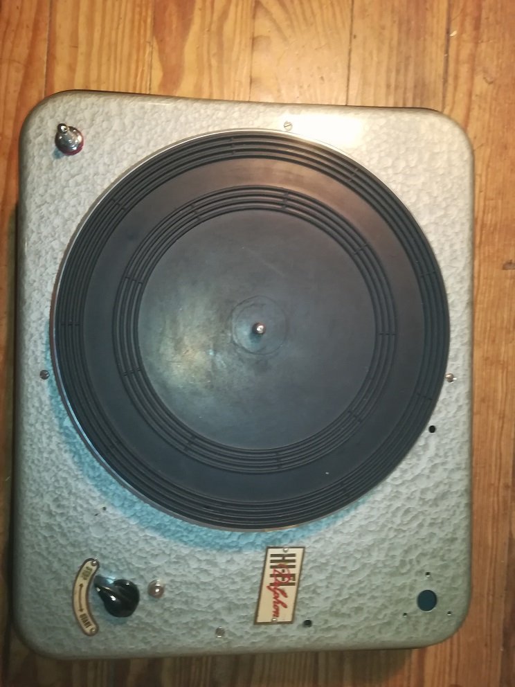 delphon 2.jpg