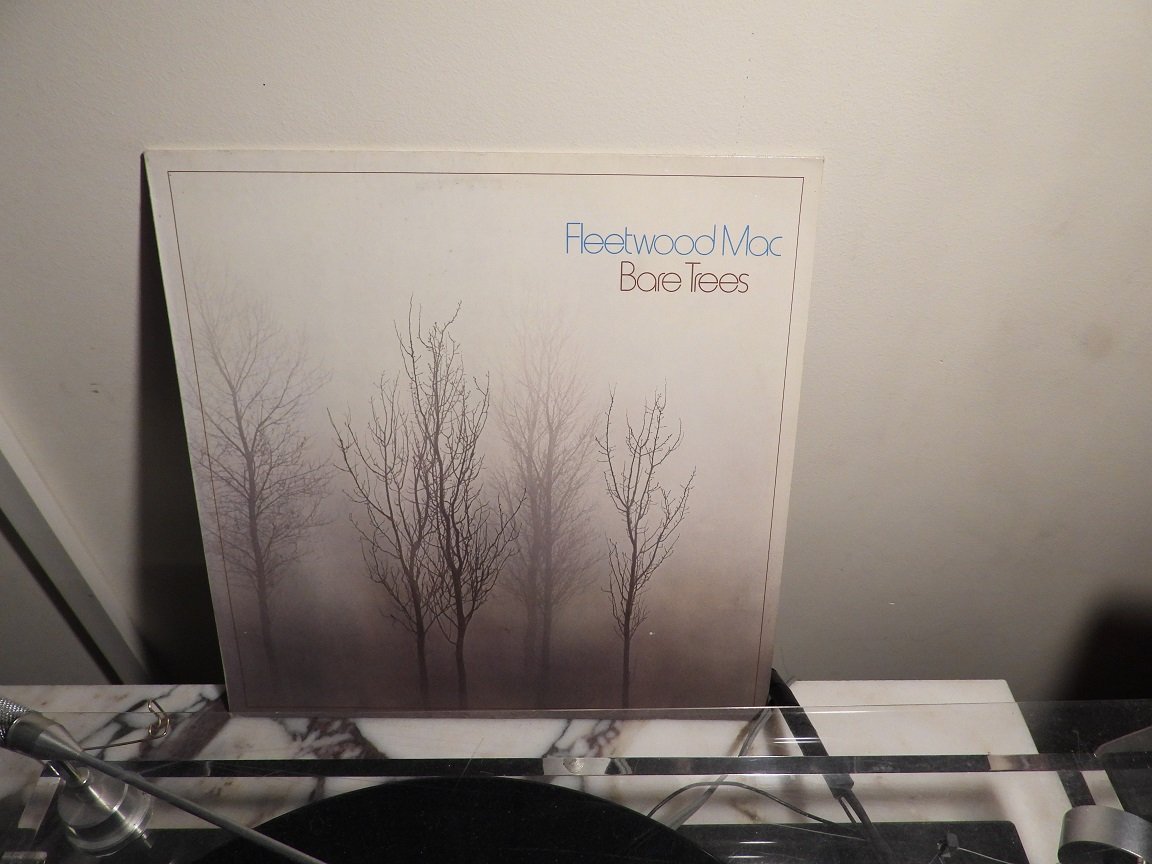 Fleetwood Mac Bare trees.JPG