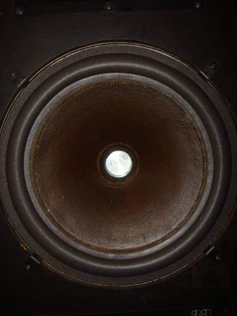 DSC07807.JPG