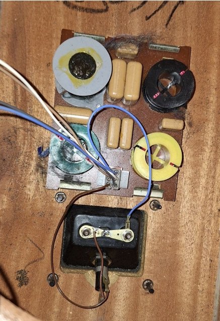 Capture d’écran_29-7-2025_173347_.jpeg