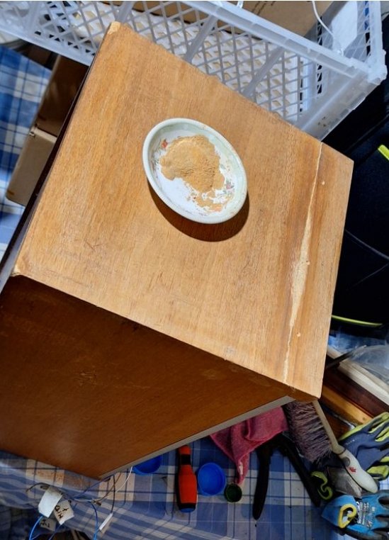 Capture d’écran_29-7-2025_174114_.jpeg