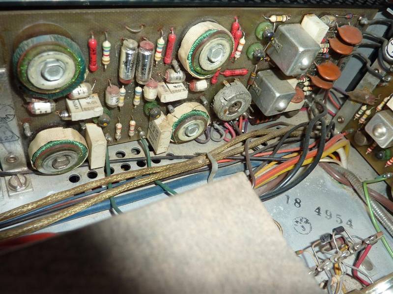 P1050306 (Large).JPG