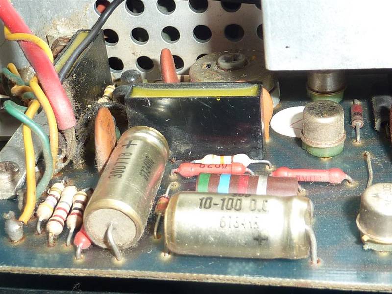 P1050303 (Large).JPG