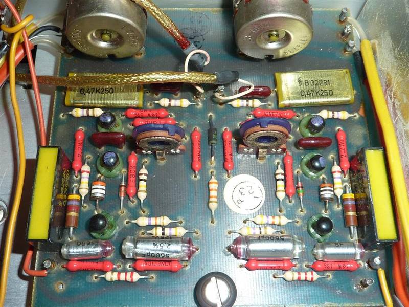 P1050317 (Large).JPG