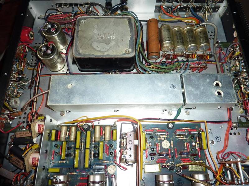 P1050313 (Large).JPG