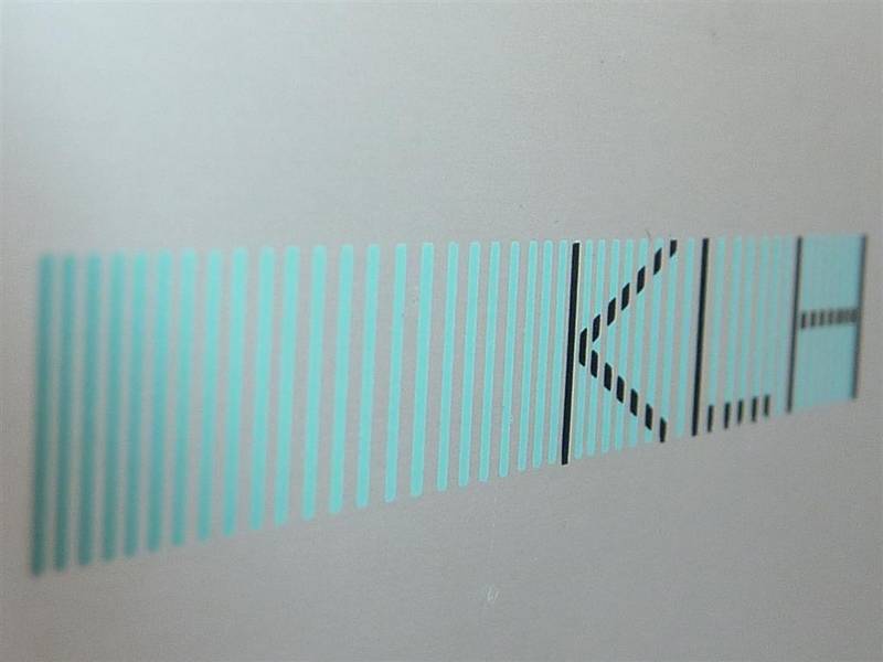 P1050458 (Large).JPG