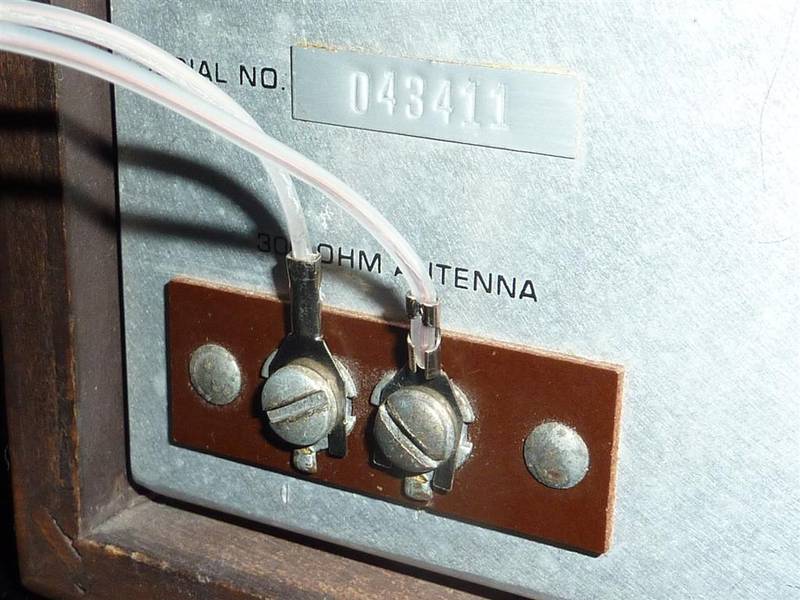 P1050480 (Large).JPG