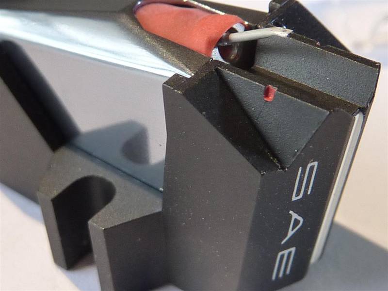 P1050562 (Large).JPG