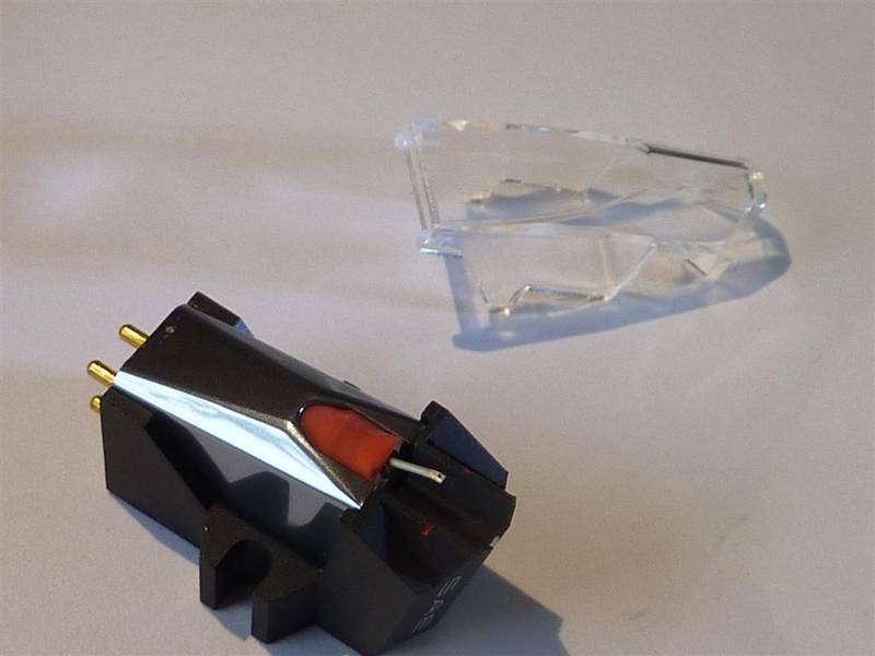 P1050563 (Large).JPG