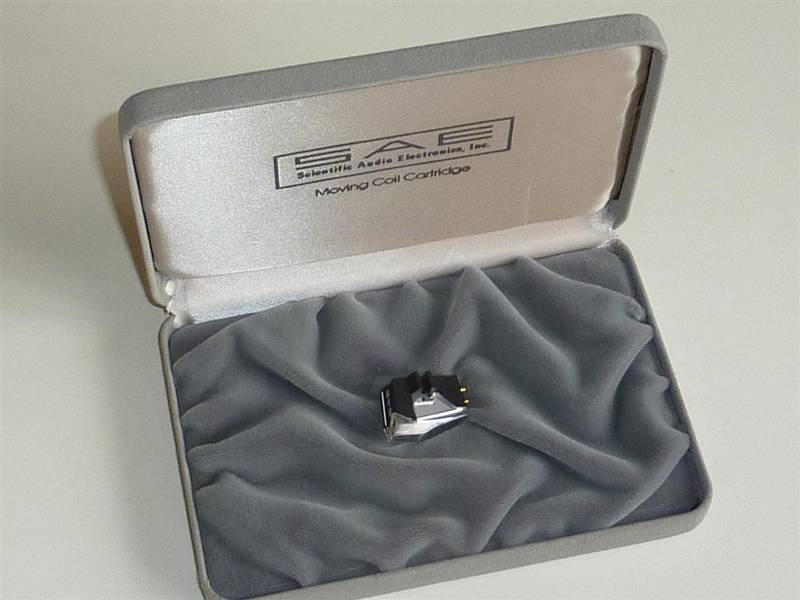 P1050565 (Large).JPG