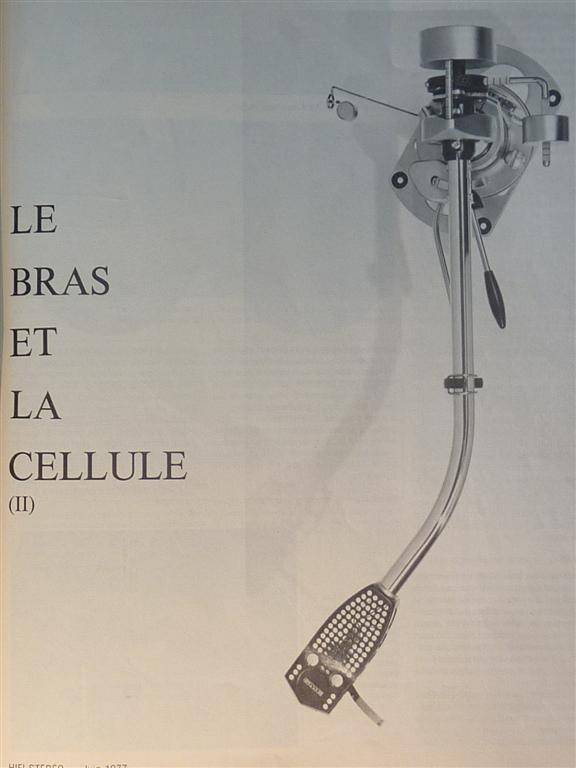 P1050919 (Large).JPG