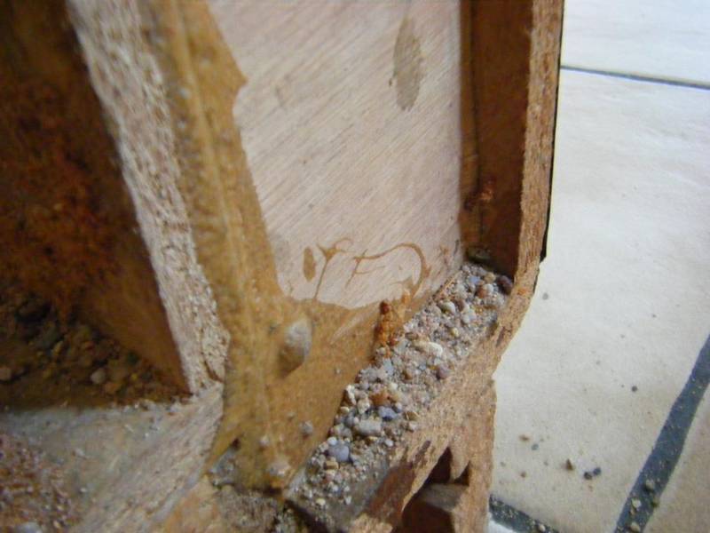 DSCF6308.jpg