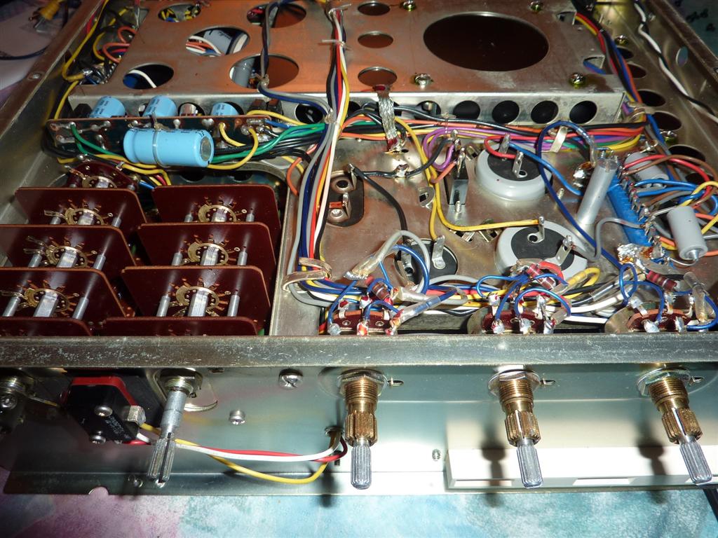 P1060836 (Large).JPG