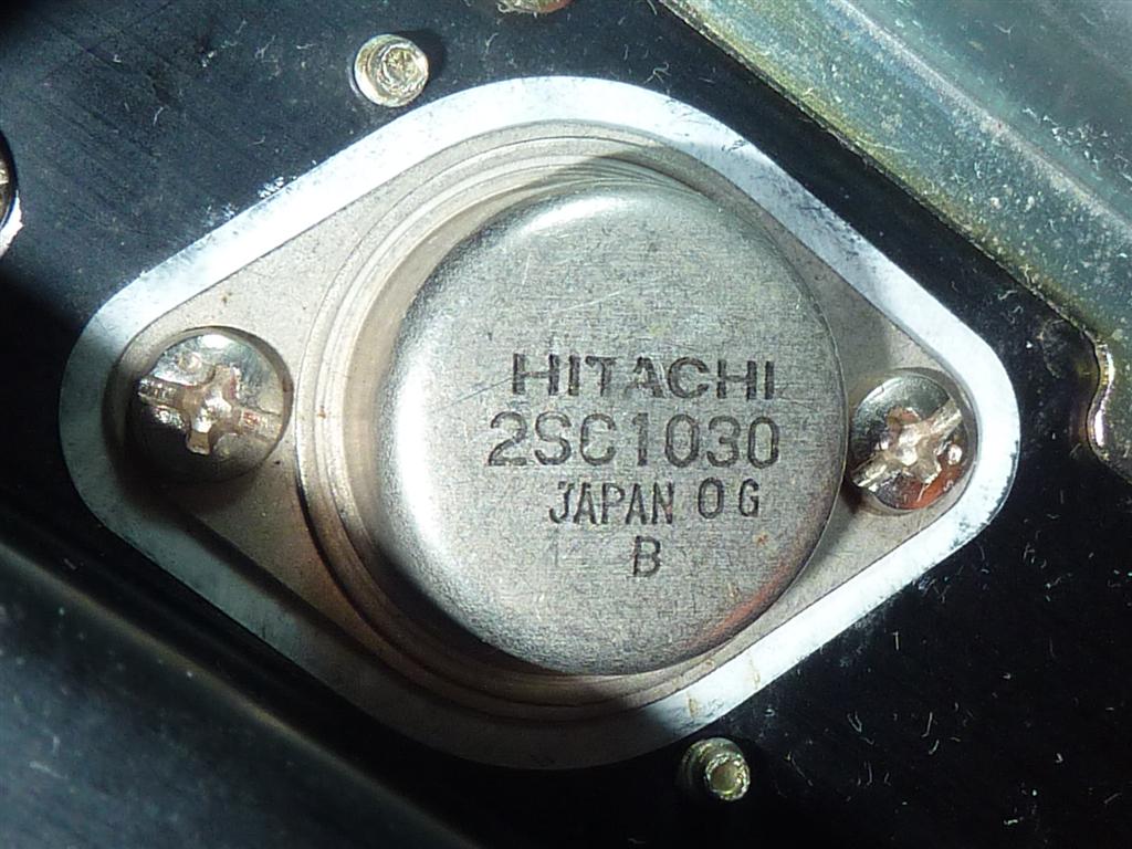 P1060841 (Large).JPG