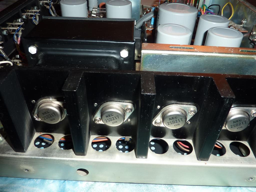 P1060845 (Large).JPG