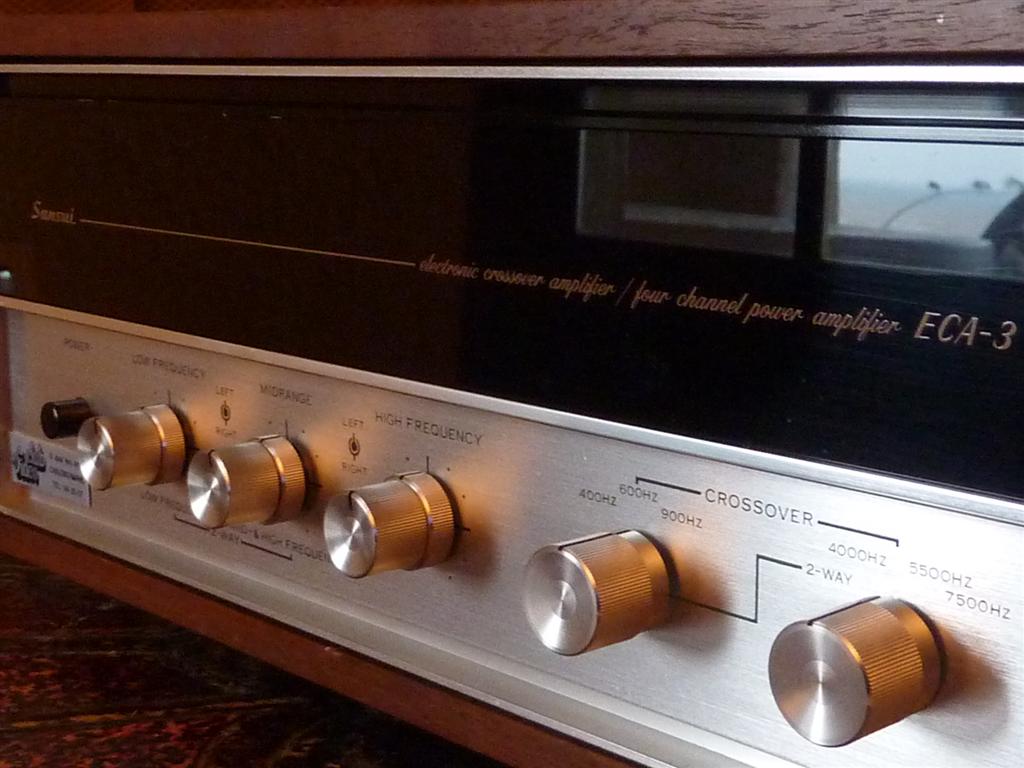 P1060875 (Large).JPG