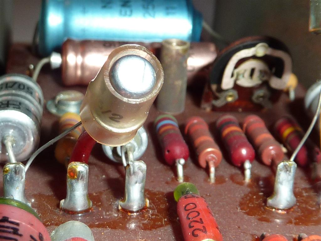 P1070457 (Large).JPG