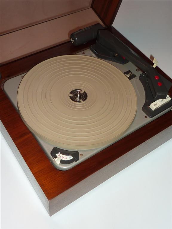 P1070427 (Large).JPG