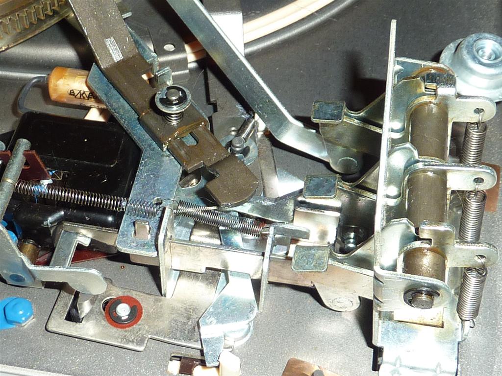 P1070436 (Large).JPG