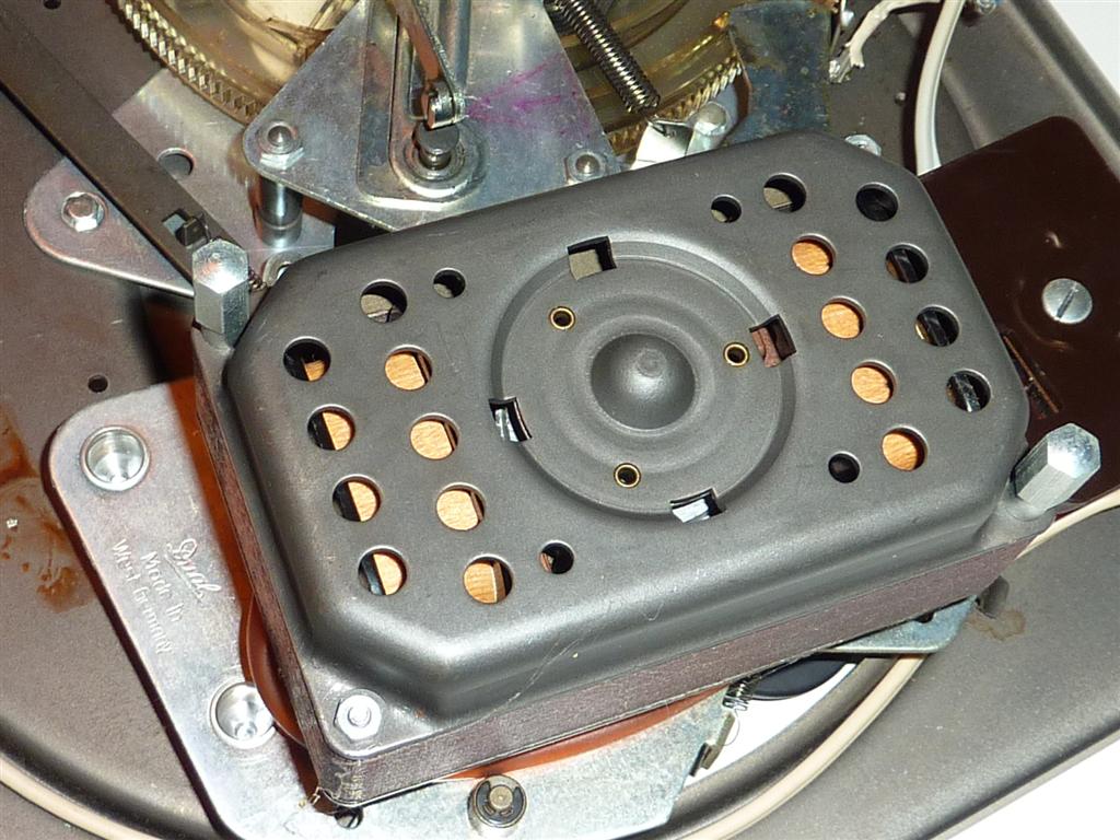 P1070435 (Large).JPG