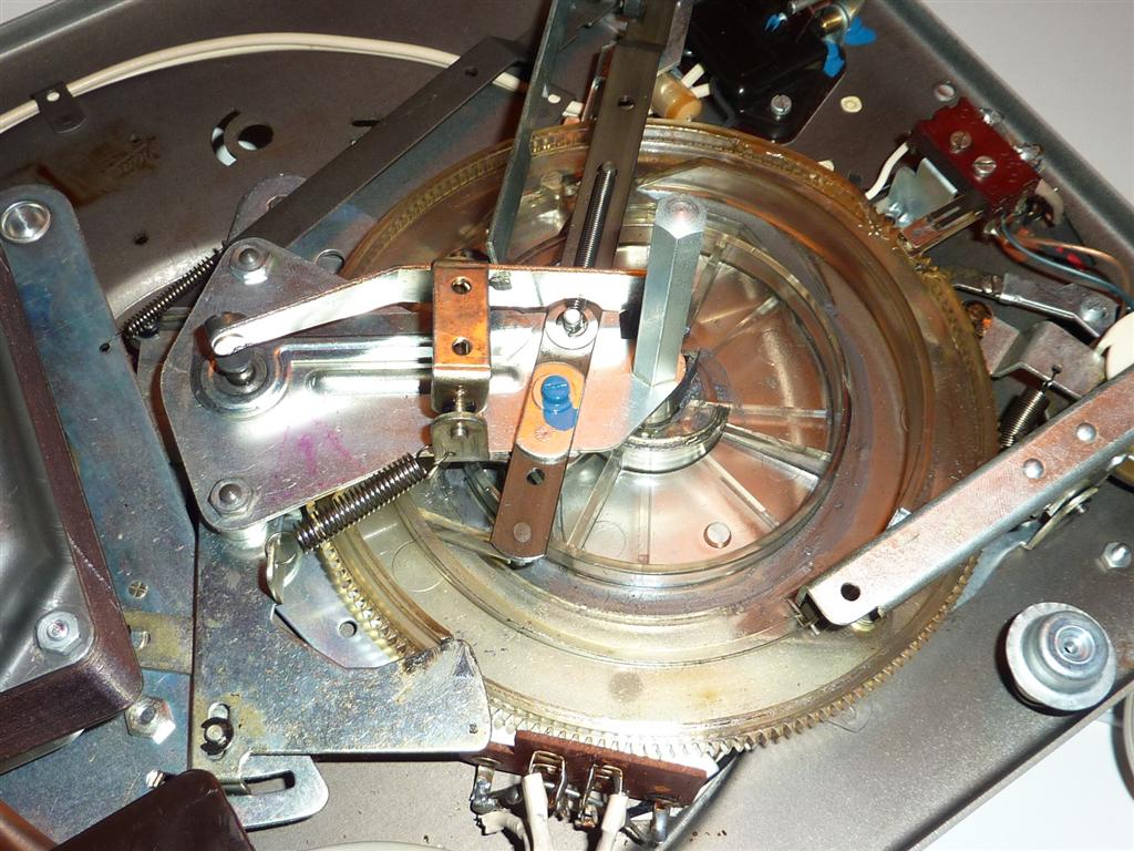 P1070433 (Large).JPG