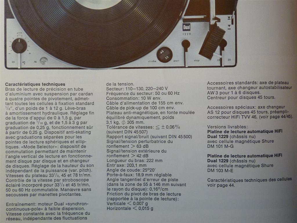 P1070584 (Large).JPG