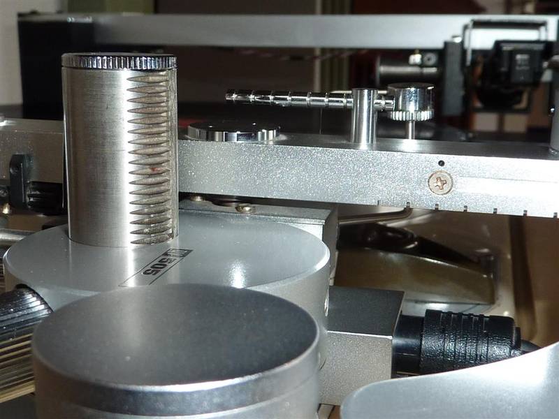 P1000711 (Large).JPG