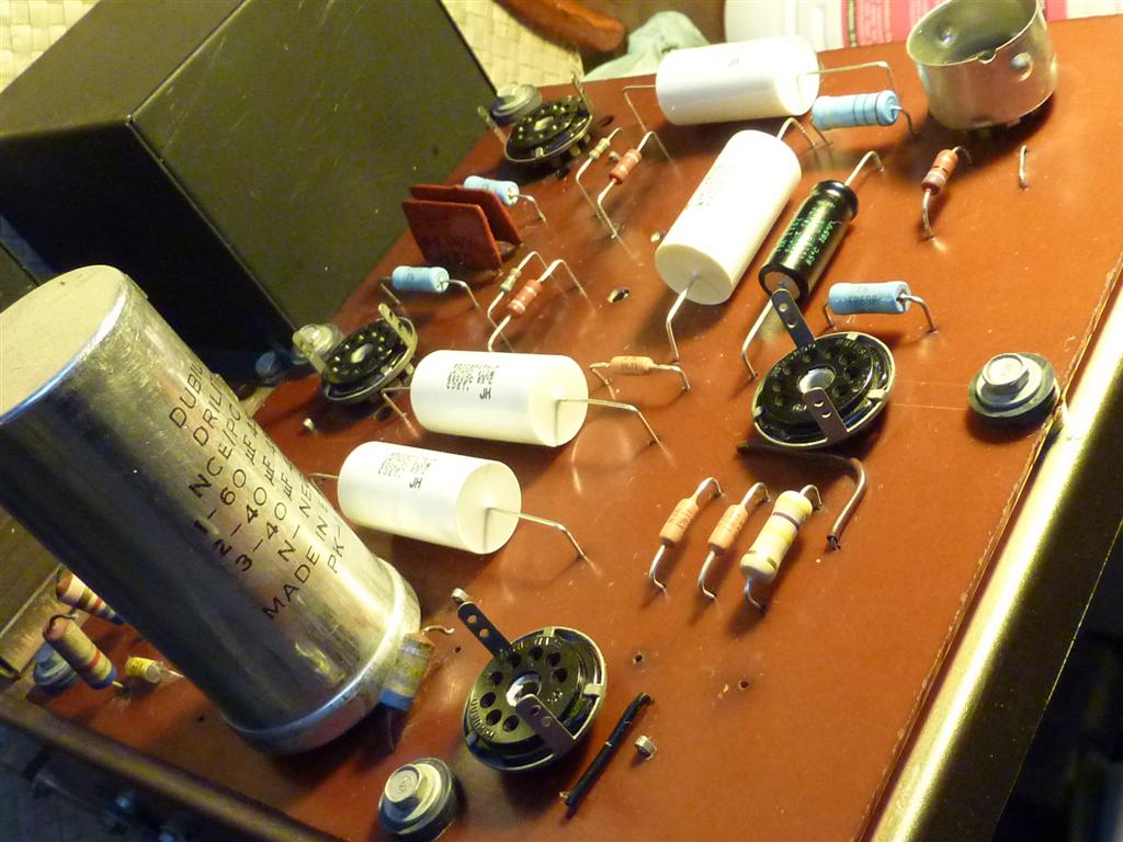 P1070935 (Large).JPG