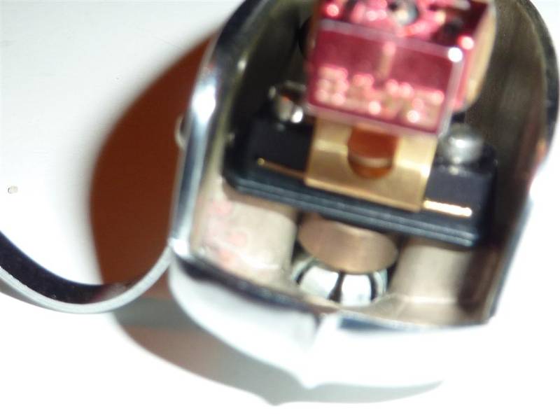 P1000908 (Large).JPG