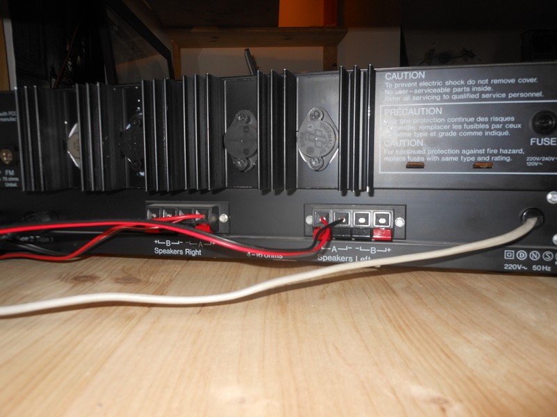 DSCN8725.jpg