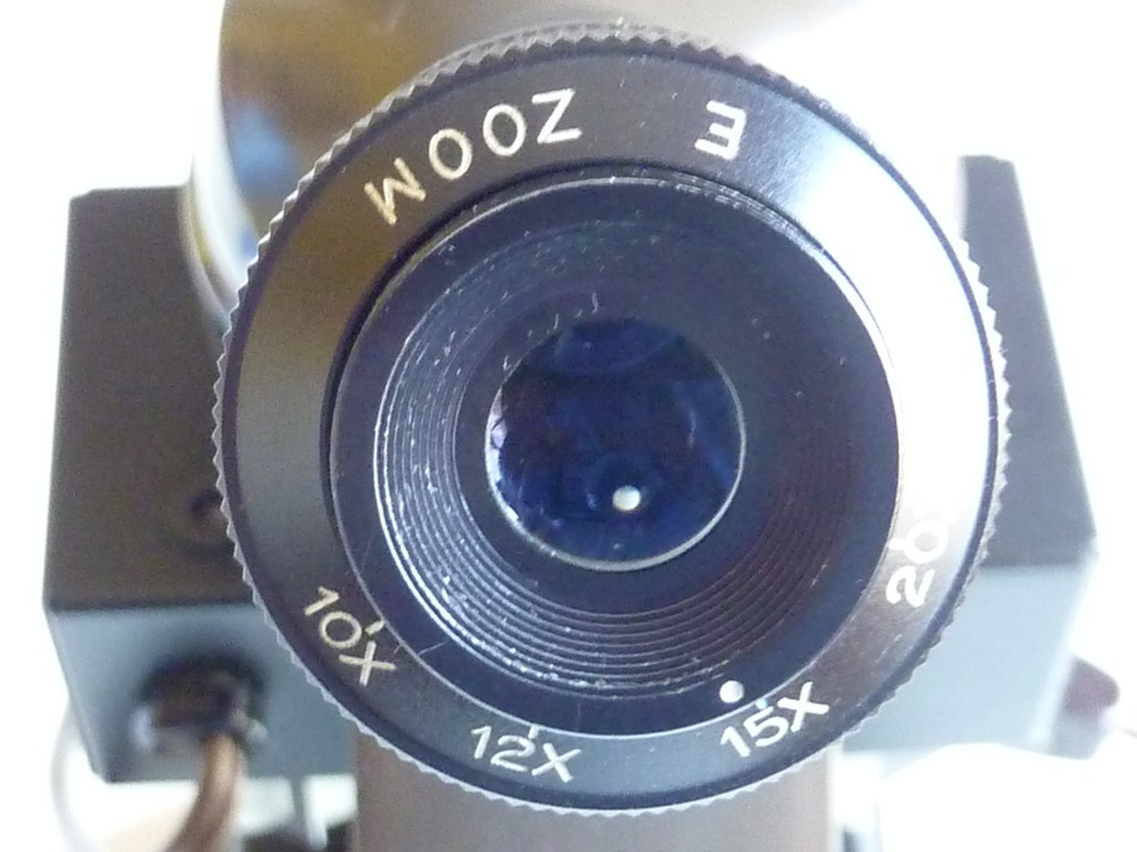 P1100483 (Copier).JPG