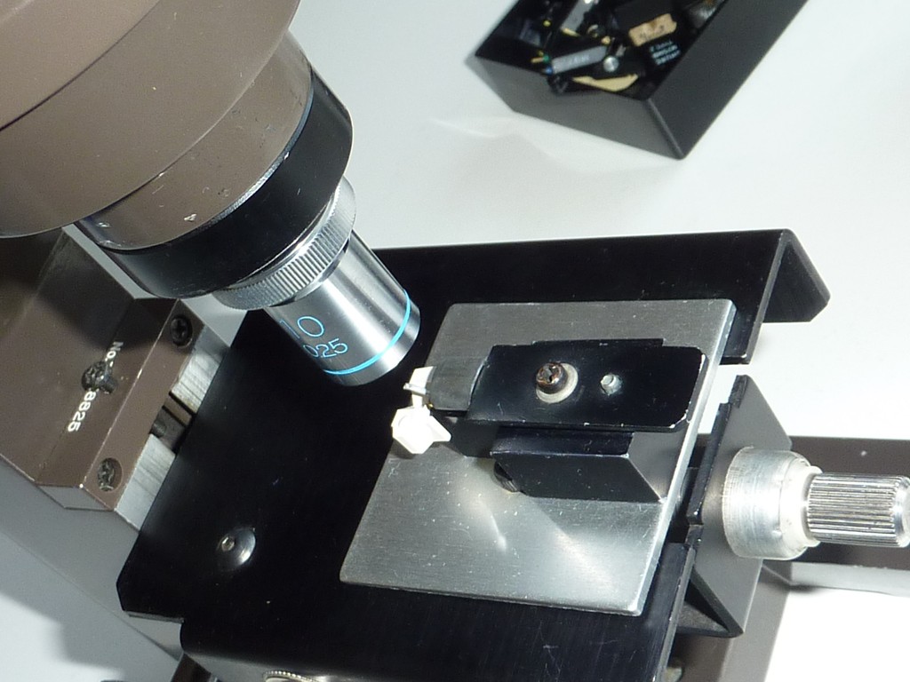 P1100493 (Copier).JPG