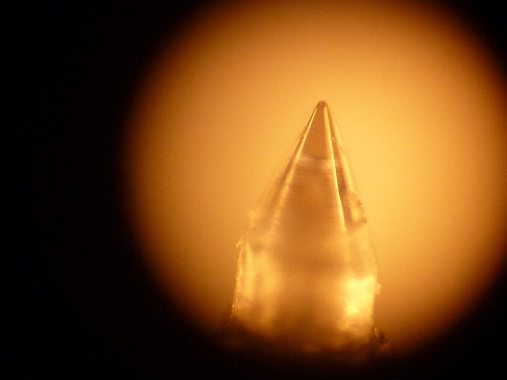 P1100446 (Copier).JPG