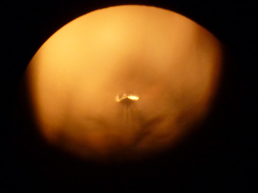 P1100453 (Copier).JPG