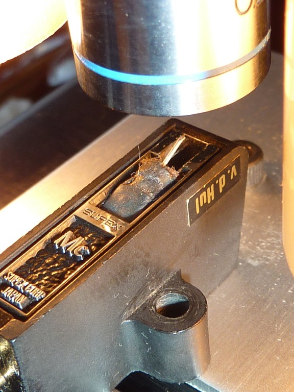 P1100456 (Copier).JPG