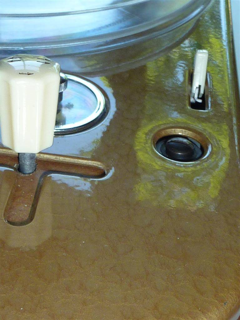 P1010699 (Large).JPG