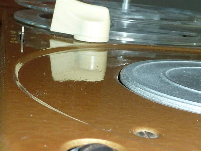 P1010698 (Large).JPG