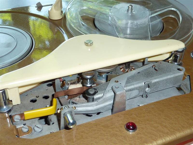 P1010697 (Large).JPG