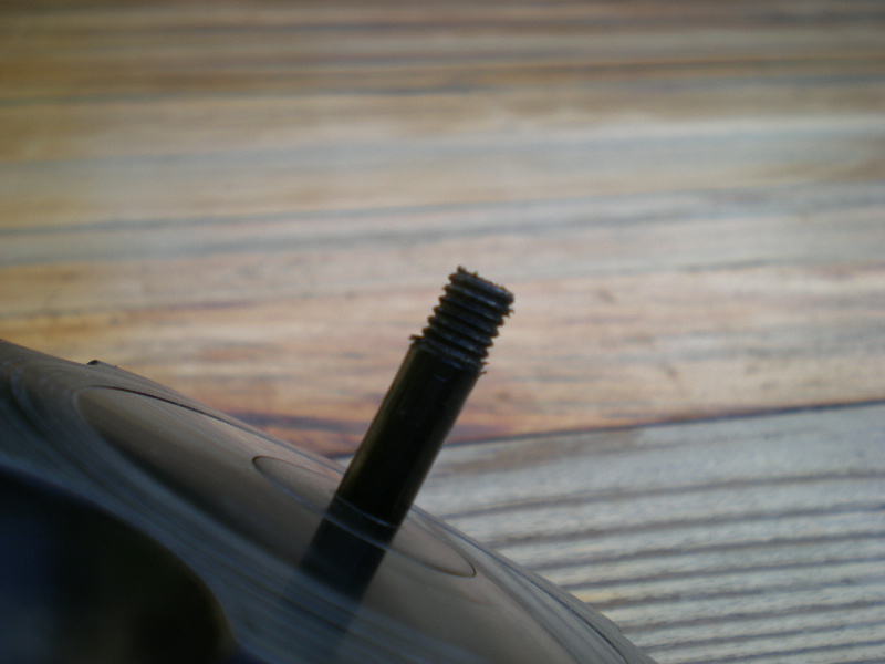 DSCN7505.JPG
